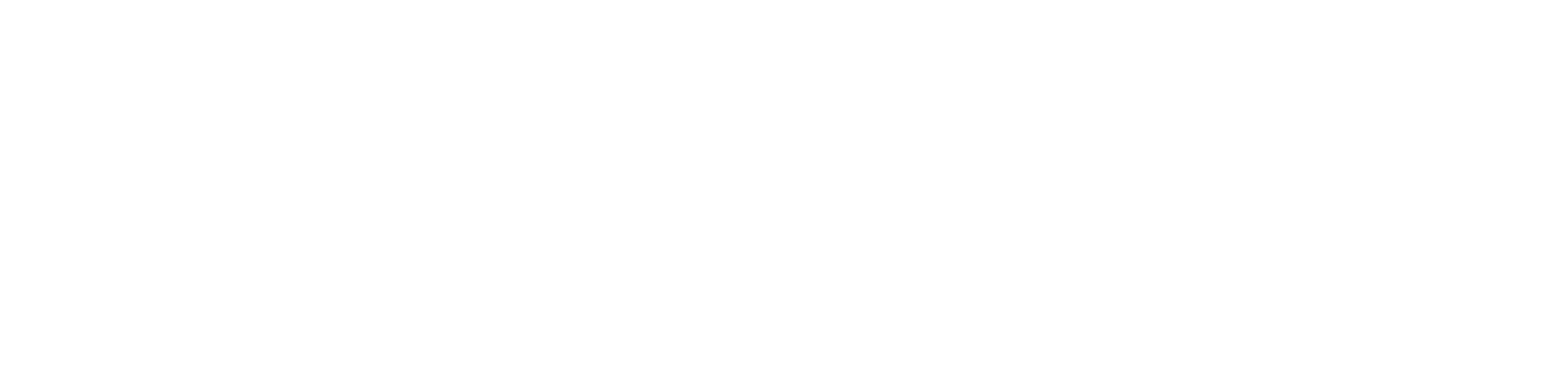 Department of Energy Logo White